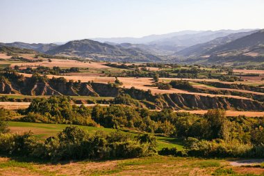 Forli Cesena, Emilia Romagna, İtalya: ekili tarlaları ve tepeleri olan kırsal alan