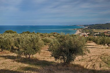 Fossacesia, Chieti, Abruzzo, İtalya: Adriyatik deniz kıyısında zeytin oyuğu ile kırsal alan