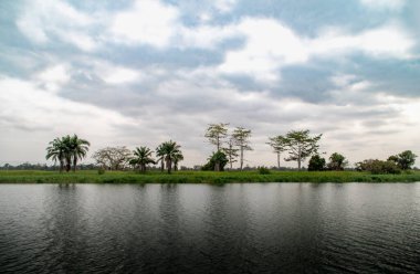 Bulutlu Gök Altında Palmiyeler ve Ağaçlar olan Tropik Kwanza Riverbank, Angola. Yüksek kalite fotoğraf