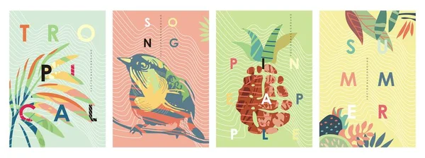Sommar Försäljning Banner Och Affischer Samling Med Färgglada Fågel Tropiska — Stock vektor