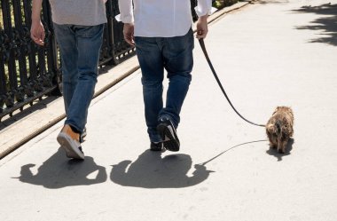 Bir çift küçük kahverengi bir köpekle sokakta yürüyor. Hayvan sahibi arkadaşlığı