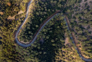 Dağ kıvrımlı yolun insansız hava aracı antenleri. Ormanda macera ve zorlu bir yolculuk. Kıbrıs Troodos Dağları