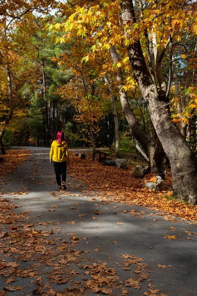 秋天在森林里散步的一个不为人知的女人 落叶枫树落在地上 秋天的季节里 鸭嘴豆 — 图库照片