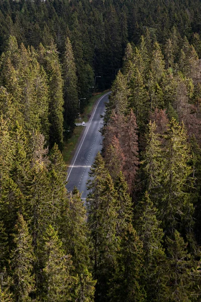 Empty road passing through the dense forest in autumn. Hidden road. Kuopio finland