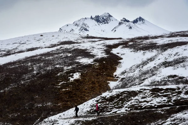 Людина Йде Стежці Снігової Гори Трекер Ходить Зимою Discover Iceland — стокове фото