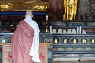 New Delhi, India, August 15 2019: Buddhism monk praying in the buddha asian temple.