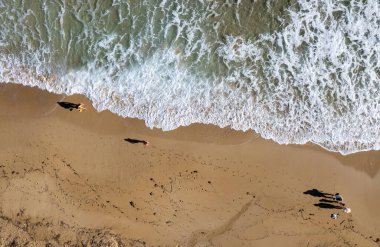 Aerial drone point of view of people walking on sand in a beach. Stormy waves idyllic beach in winter.