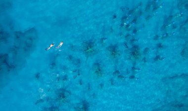 Bir grup dalgıç su altı müzesinin üstünde deniz yüzeyinde şnorkelle yüzüyor. Ayia napa Kıbrıs Avrupa