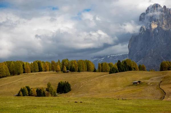 风景秀丽的秋天草场和迷人的白云石山峰 Alpe Siusi Seiser Alm South Tyrol Italy山谷 秋季季节 — 图库照片