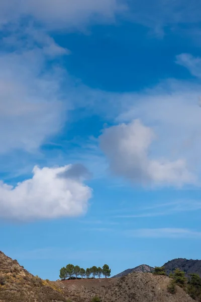 Πεύκα Στην Άκρη Του Γκρεμού Ενάντια Στο Μπλε Συννεφιασμένο Ουρανό — Φωτογραφία Αρχείου