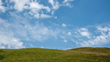 Meadow green field and blue cloudy sky. Nature backgound. with copy space clipart