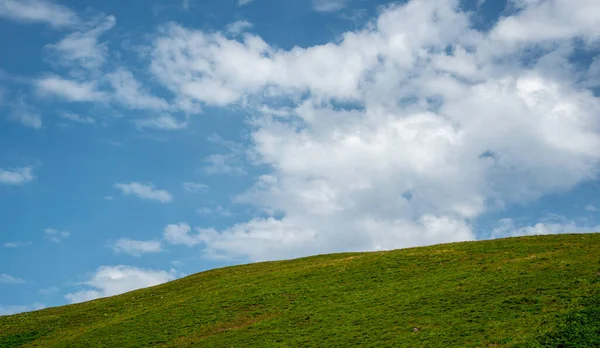 Łąka Zielone Pole Błękitne Zachmurzone Niebo Pies Natury Przestrzenią Kopiowania — Zdjęcie stockowe