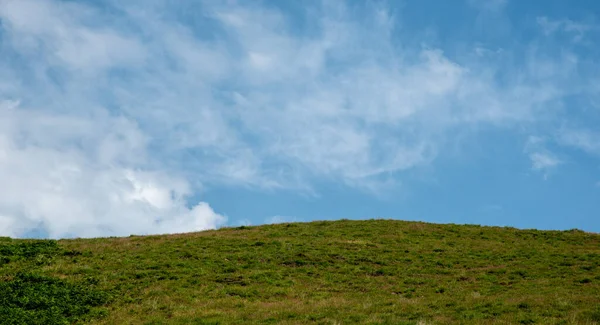 Зелёное Поле Луга Голубое Облачное Небо Основа Природы Копировальным Пространством — стоковое фото