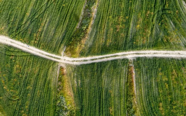 Drone Aerial Curvy Empty Rural Road Ang Green Agriculture Field — Stok fotoğraf