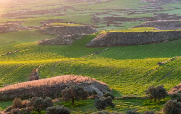 Αγροτεμάχιο Στην Εξοχή Την Αυγή Πράσινο Λιβάδι — Φωτογραφία Αρχείου