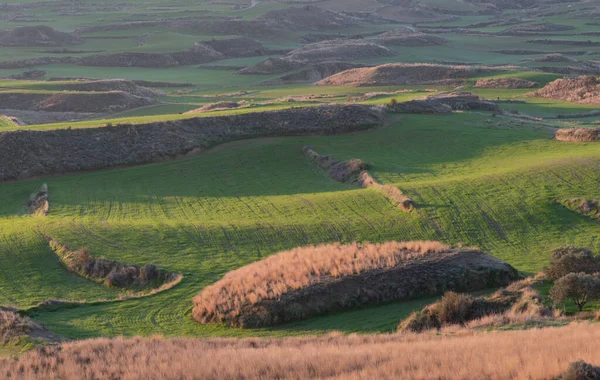 Αγροτεμάχιο Στην Εξοχή Την Αυγή Πράσινο Λιβάδι — Φωτογραφία Αρχείου