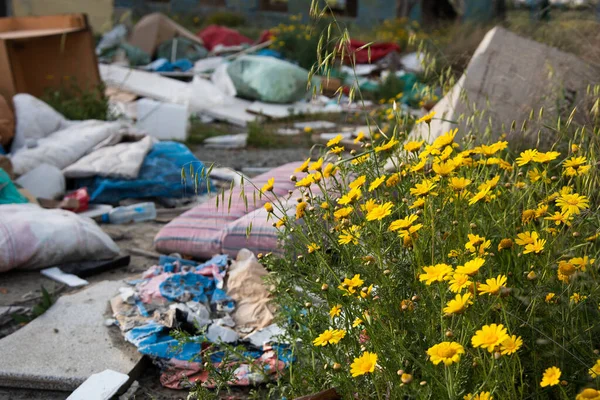 Verse Bloemen Huis Industriële Afvalverwerking Buiten Milieuverontreiniging Milieubehoud — Stockfoto