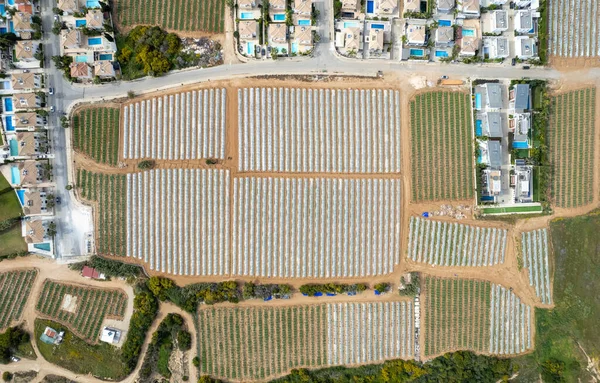 Letecký Pohled Skleníky Řadě Pokryté Průhlednou Vrstvou Rostoucí Zeleniny Ovoce — Stock fotografie