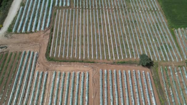 Drohnenaufnahmen Landwirtschaftlicher Nutzflächen Mit Gewächshäusern Für Den Gemüseanbau Landwirtschaftliche Flächen — Stockvideo