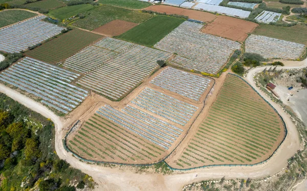 Aerial Drone View Greenhouses Row Covered Transparent Film Growing Vegetables — Stock Photo, Image