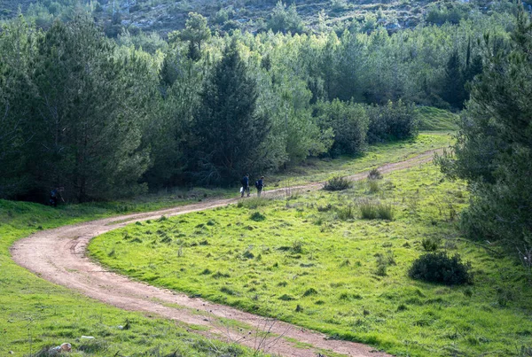 Grupo Pessoas Não Reconhecidas Caminhadas Uma Estrada Rural Floresta Pessoas — Fotografia de Stock