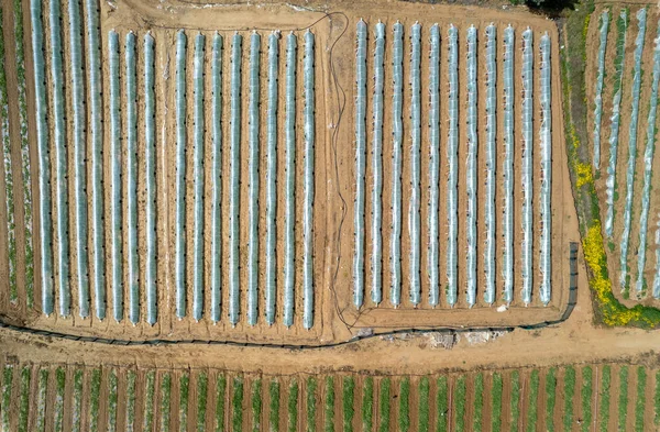 Αεροφωτογραφία Κηφήνας Θερμοκήπια Στη Σειρά Καλυμμένα Διάφανη Μεμβράνη Καλλιέργειας Λαχανικών — Φωτογραφία Αρχείου