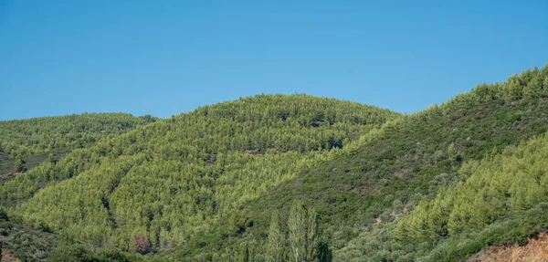 Гірський Незайманий Пейзаж Лісом Тлі Блакитного Неба Природне Середовище Копіювати — стокове фото