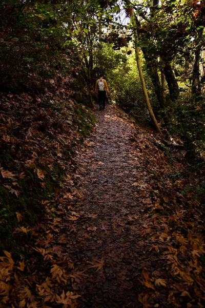 Persona Non Riconosciuta Escursionismo Sentiero Natura Nella Foresta Autunno Avventura — Foto Stock