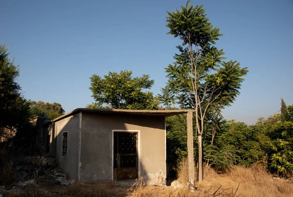 Abandonné Effondrement Maison Dans Forêt Ciel Bleu Clair Avec Copie — Photo