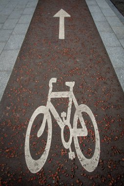 Kentte asfalt üzerinde işaretler olan bisiklet yolu.