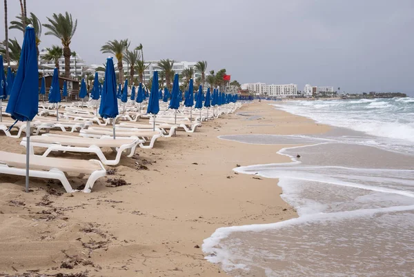 Röd Flagga Den Stormiga Stranden Farlig För Simning Fig Trädvik — Stockfoto