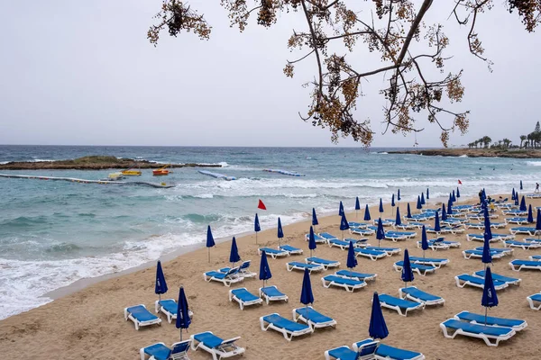 Tropisk Semesterort För Bad Fikonträd Bukt Strand Cyprus Stormig Dag — Stockfoto