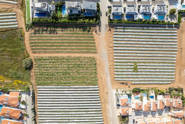 Luchtfoto Drone Uitzicht Kassen Een Rij Vakantiehuizen Voedselteelt Landbouw Biologische — Stockfoto