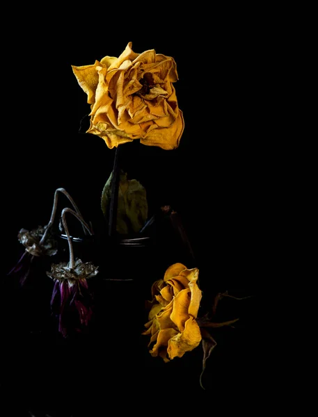 Μαραμένο Κίτρινο Τριαντάφυλλο Λουλούδι Μαύρο Φόντο Άψυχο Λουλούδι Θλίψη Και — Φωτογραφία Αρχείου