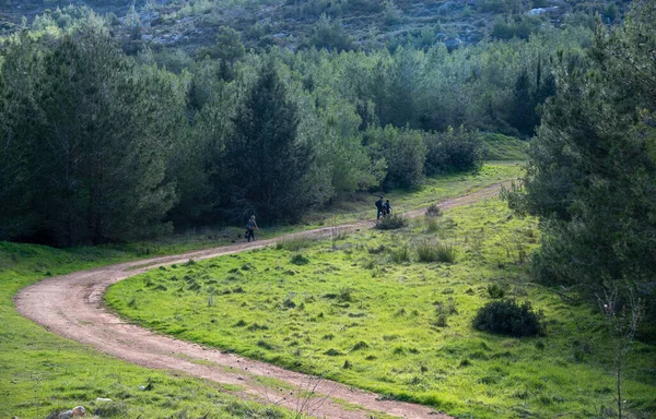 Grupo Pessoas Não Reconhecidas Caminhadas Uma Estrada Rural Floresta Pessoas — Fotografia de Stock