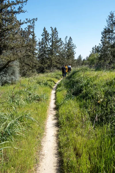 Grupo Personas Reconocidas Caminando Aire Libre Naturaleza Primavera Estilo Vida —  Fotos de Stock