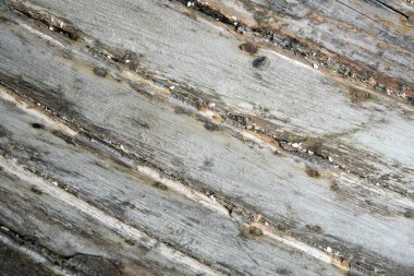 Ahşap arka plan yüzeyi. Kalıplı ahşap soyut.