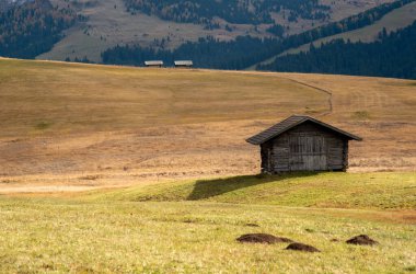 Tepedeki ahşap seyahat kulübesi turist evleri. Alpe di siusi Seiser İtalya.