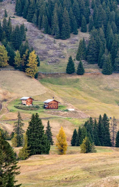 Водные Туристические Домики Открытым Небом Холме Alpe Siusi Ser Alm — стоковое фото