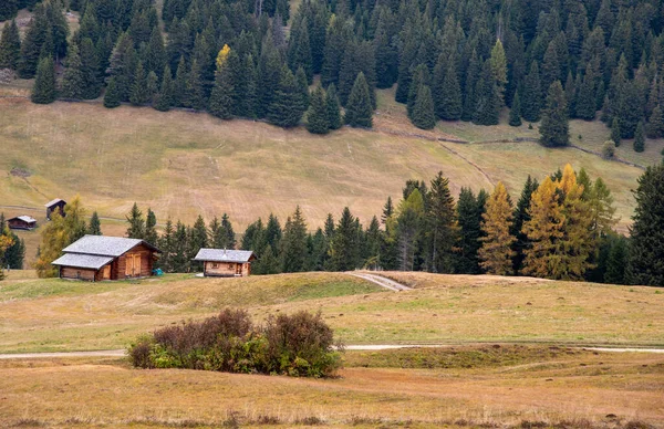 Drewniane Domki Turystyczne Kabiny Zewnątrz Wzgórzu Alpe Siusi Seiser Alm — Zdjęcie stockowe