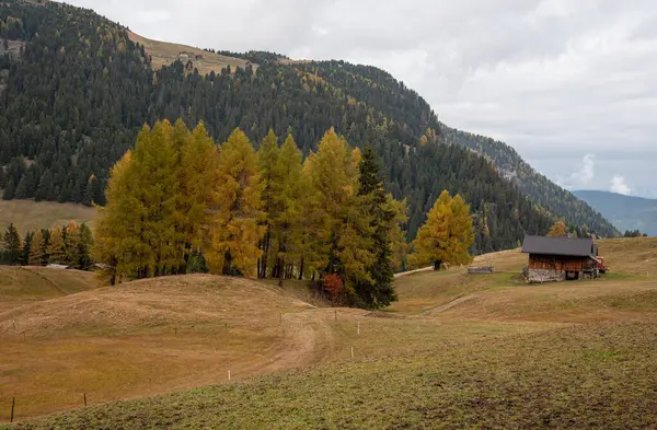 Drewniane Domki Turystyczne Kabiny Zewnątrz Wzgórzu Alpe Siusi Seiser Alm — Zdjęcie stockowe