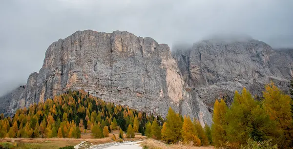 Rande Des Felsigen Berges Leuchten Herbst Lärchen Herbstliche Landschaft Wald — Stockfoto