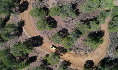 Dağlardaki ormanda kırsal bir yolda araba yarışı yarışması. Kıbrıs Troodos