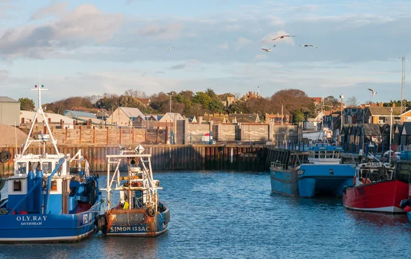 Whitstable Verenigd Koninkrijk Januari 2015 Vissersboten Aangemeerd Whitstable Haven Kent — Stockfoto