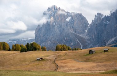 Landscape with beautiful autumn meadow field and the amazing Dolomite rocky peaks. Valley of Alpe di siusi Seiser Alm South Tyrol Italy. Autumn season clipart