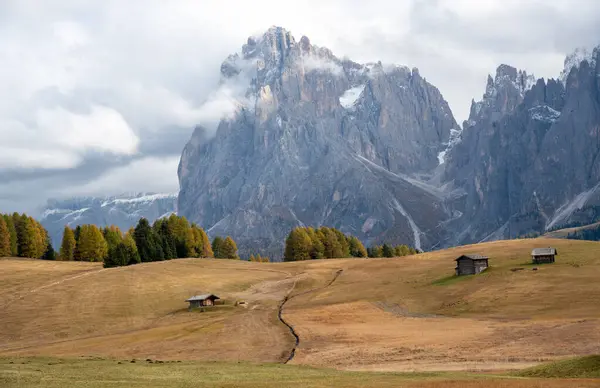 风景秀丽的秋天草场和迷人的白云石山峰 Alpe Siusi Seiser Alm South Tyrol Italy山谷 秋季季节 图库照片