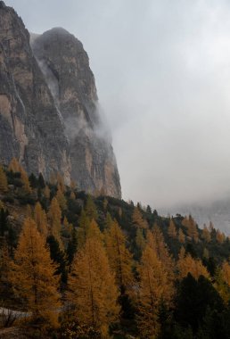 Langkofel veya Saslonch 'un dağlık tepelerinin nefes kesen manzarası, İtalya' nın Güney Tyrol şehrinde gün doğumunda dumanla kaplı dolomitlerdeki dağ sıraları.
