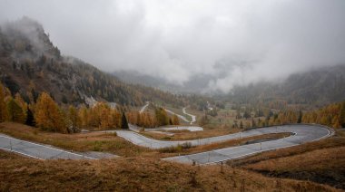 Güzel sarı, ağaçlar ve kıvrımlı boş yollarla sonbahar manzarası. Passo di falzarego dolomiti Güney Tyrol İtalya 'da