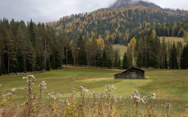 Sonbaharda Orman Ağaçlarıyla Çevrili Terk Edilmiş Bir Çiftlik Evi Talyan — Stok fotoğraf