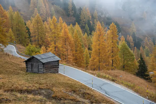 Ormanda Sonbahar Manzarası Vadideki Ahşap Kulübe Sarı Ağaçlar Talya Alplerinde — Stok fotoğraf